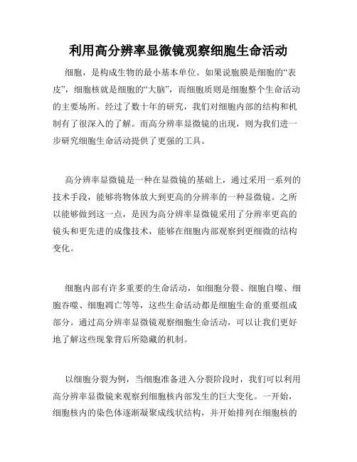利用高分辨率显微镜观察细胞生命活动