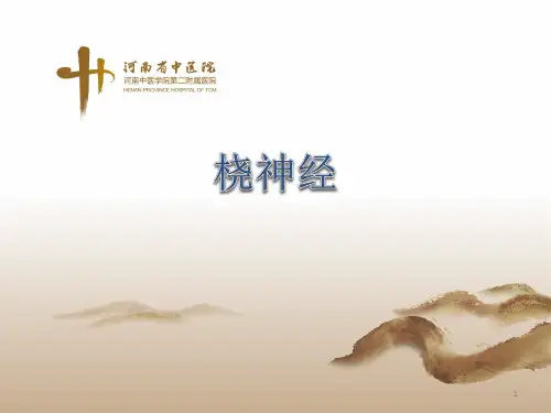 桡神经PPT课件