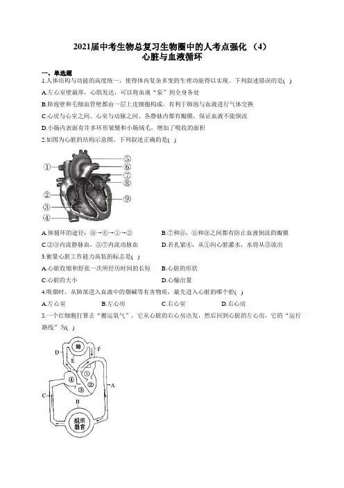 2021届中考生物总复习生物圈中的人考点强化 (4)心脏与血液循环