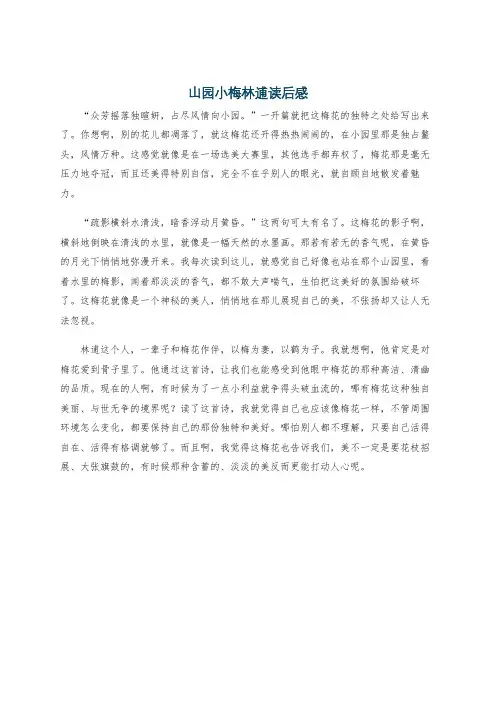 山园小梅林逋读后感