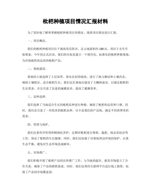 枇杷种植项目情况汇报材料