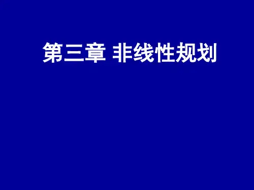 非线性规划