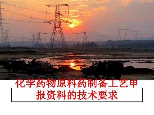 最新化学药物原料药制备工艺申报资料的技术要求
