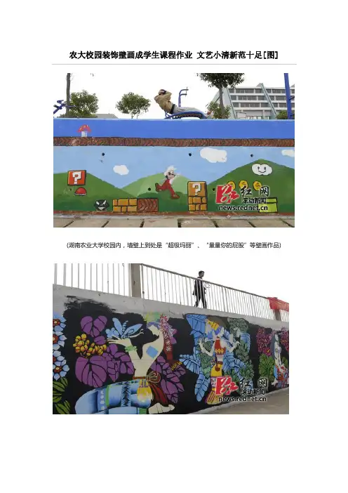 湖南农业大学艺术设计系学生创作校园壁画作品引发多媒体关注