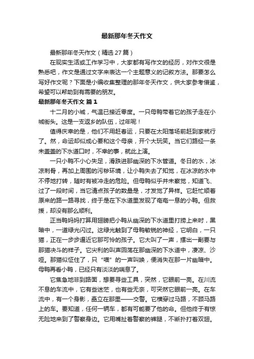 最新那年冬天作文（精选27篇）