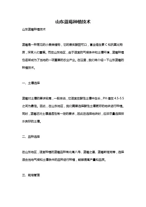 山东蓝莓种植技术