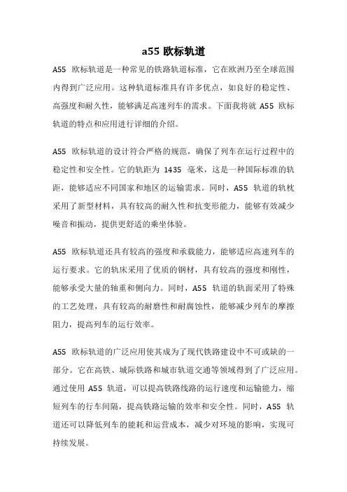 a55欧标轨道