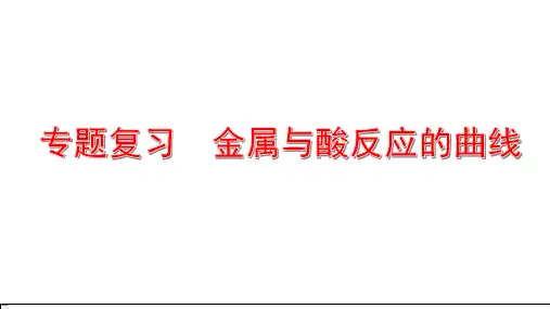 中考化学专题复习 金属与酸反应的曲线