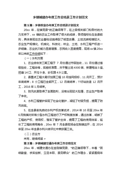 乡镇城建办年度工作总结及工作计划范文