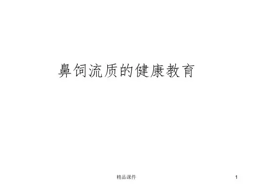 鼻饲流质的健康教育ppt课件