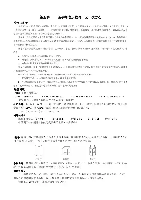 5第五讲 用字母表示数与一元一次方程