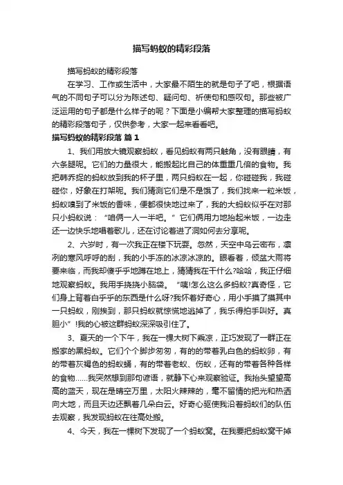描写蚂蚁的精彩段落