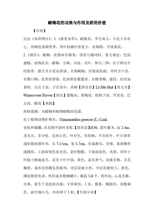 蜡梅花的功效与作用及药用价值
