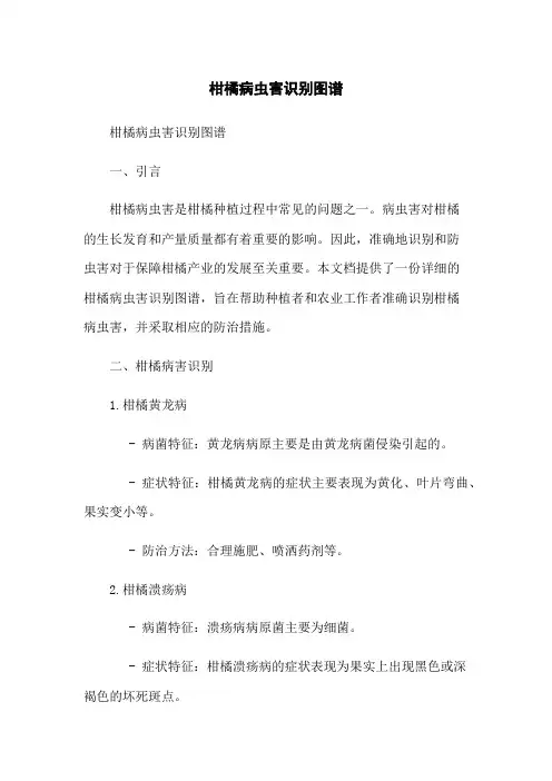柑橘病虫害识别图谱