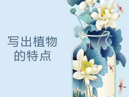 写好植物三年级.ppt