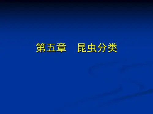 昆虫学课件第五章 昆虫分类 基本原理