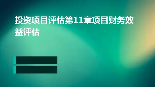 投资项目评估第11章项目财务效益评估
