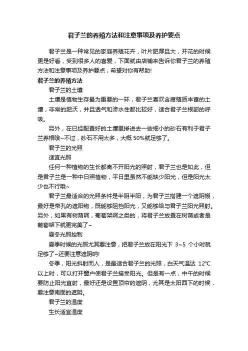 君子兰的养殖方法和注意事项及养护要点