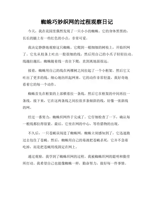  小学三年级作文蜘蛛巧妙织网的过程观察日记