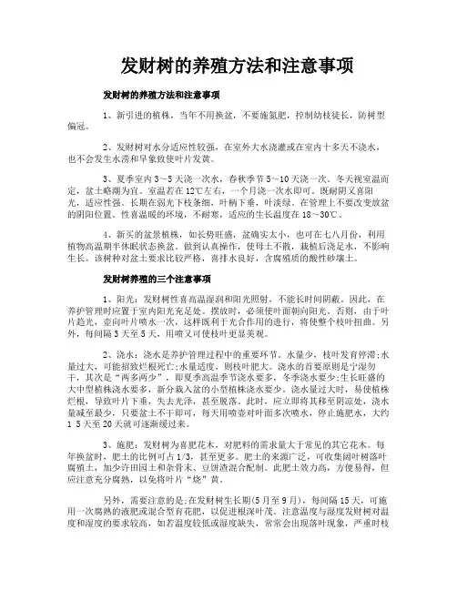 发财树的养殖方法和注意事项
