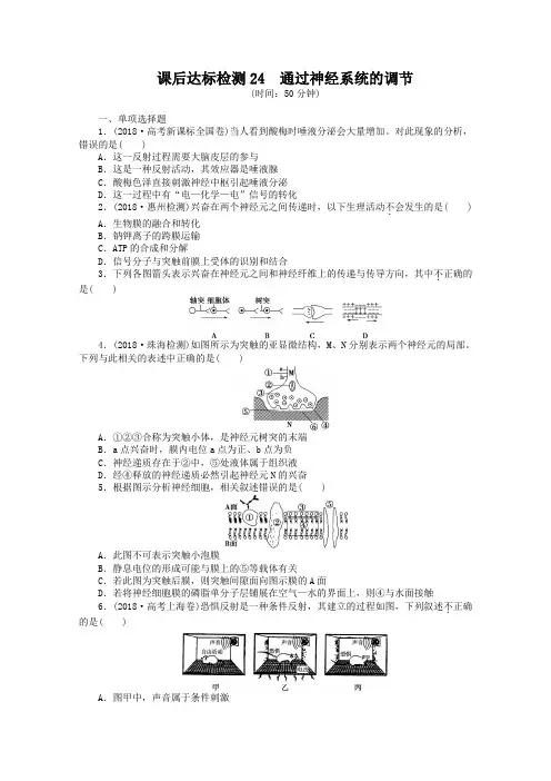 高考生物课时达标检测【24】通过神经系统的调节(含答案)