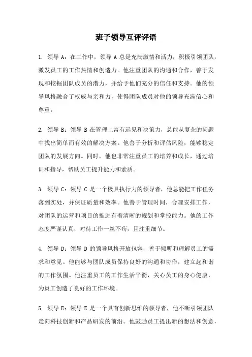 班子领导互评评语