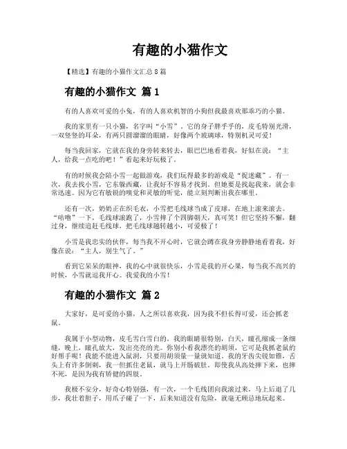 有趣的小猫作文