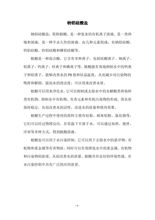 钠铝硅酸盐