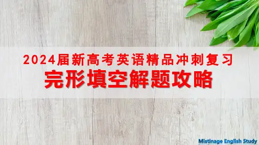 2024届新高考英语冲刺复习：完形填空解题攻略