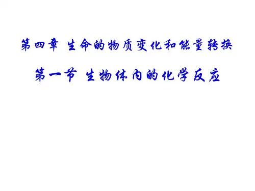高一生物生物体内的化学反应