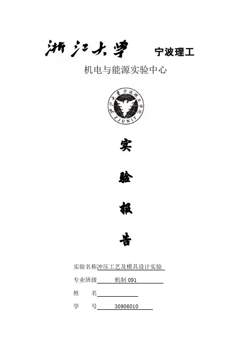 dynaform实验报告