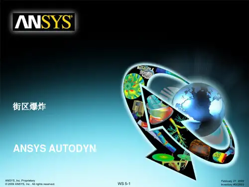ANSYS_AUTODYN_街区爆炸