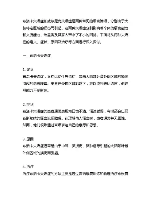 布洛卡失语症和威尔尼克失语症例子
