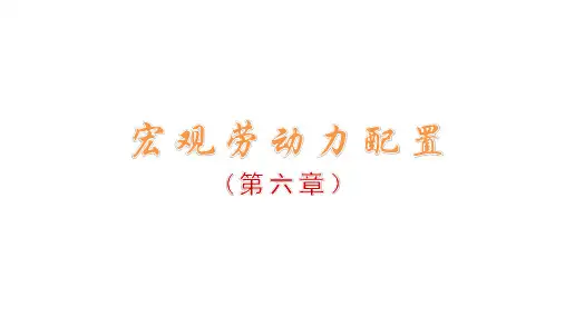 宏观劳动力配置(第六章)