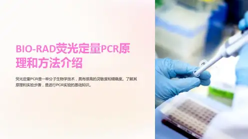 BIO-RAD荧光定量PCR原理和方法介绍