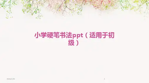 小学硬笔书法ppt(适用于初级)