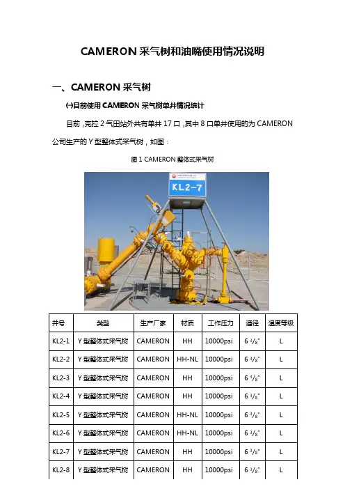 00、-CAMERON油嘴和采气树情况