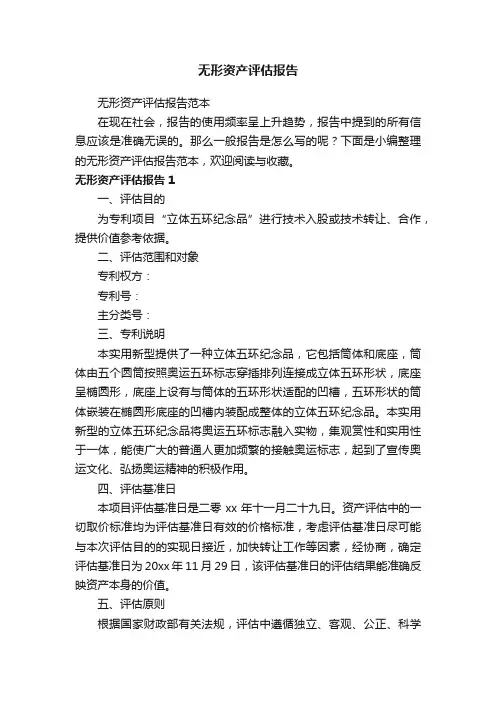 无形资产评估报告范本