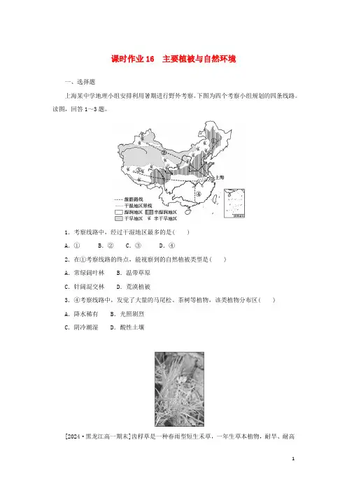2024_2025学年新教材高中地理课时作业16主要植被与自然环境湘教版必修第一册
