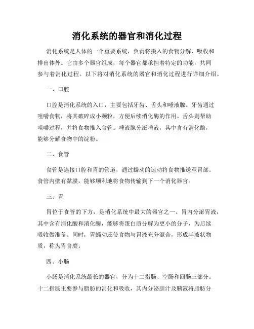消化系统的器官和消化过程