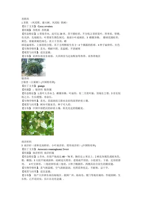 园林植物学150种植物介绍{有图片}