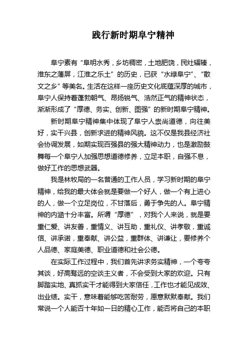 践行新时期阜宁精神