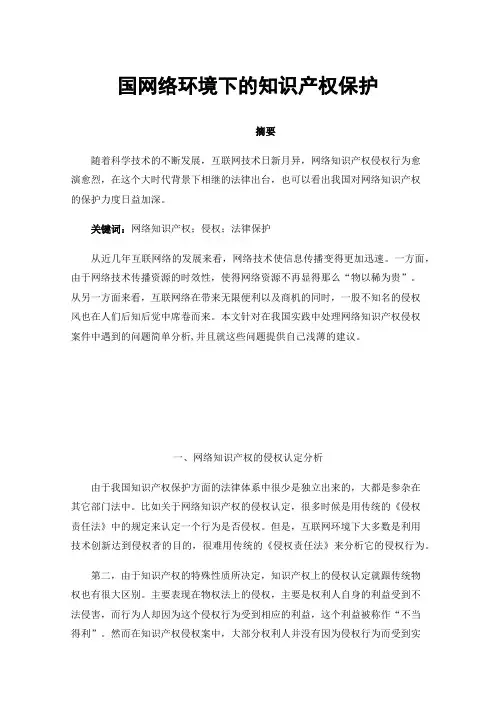 国网络环境下的知识产权保护