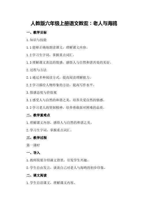 人教版六年级上册语文教案：老人与海鸥