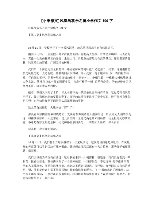 [小学作文]凤凰岛欢乐之游小学作文400字