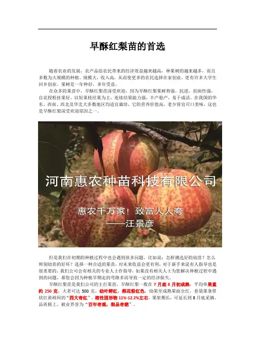 早酥红梨苗的介绍
