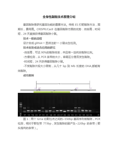 全身性敲除技术原理介绍