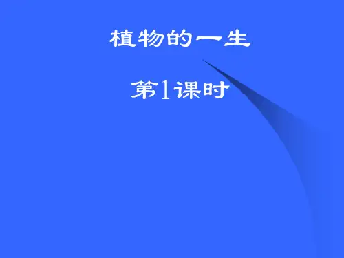 浙教版《植物的一生》优秀公开课ppt1