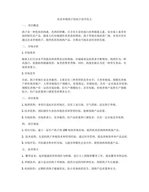 农业养殖鸽子创业计划书范文