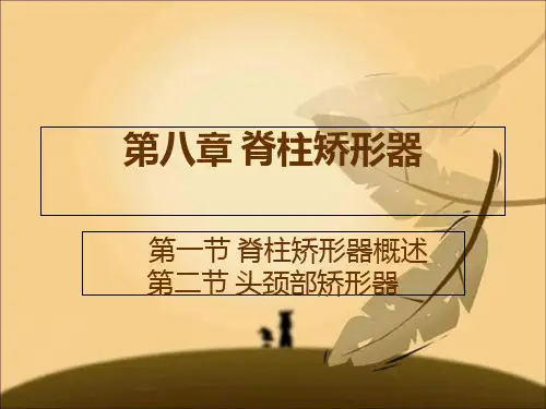 假肢与矫形器技术ppt课件